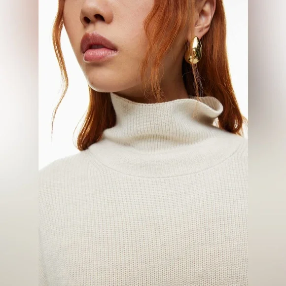 NWOTS Babaton Maclean Oversized merino wool turtleneck sweater dress - Picture 3 of 15